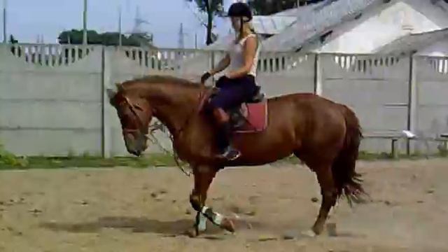 Сеница .mp4 смотреть онлайн