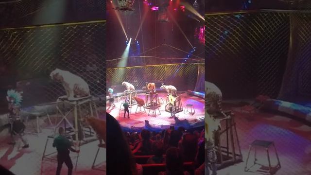 Большой Московский Цирк.Цирковое представление:Страшная Сила смотреть онлайн