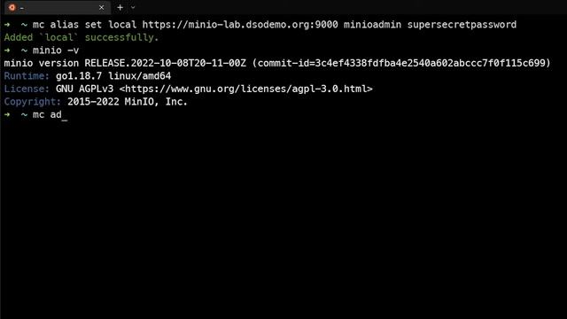 Installing and Running MinIO on Linux - Session 5: Updating the MinIO Binary #ObjectStore смотреть онлайн