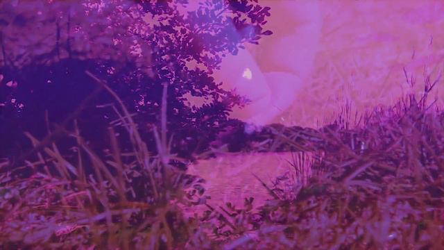 Hyper - Spoiler (Music Video)