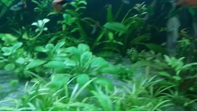 Моё хобби. смотреть онлайн