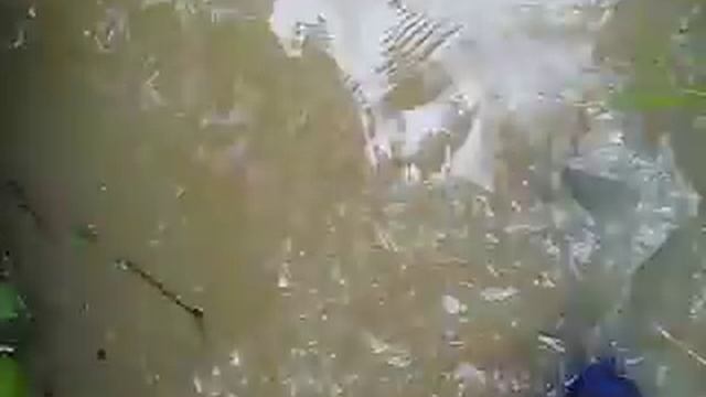 MVI 9881 смотреть онлайн