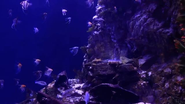 UNDERWATER SOUNDS | Deep Water Bubble Ambience For Sleep / Relaxation | 10 Hours Natural White Nois