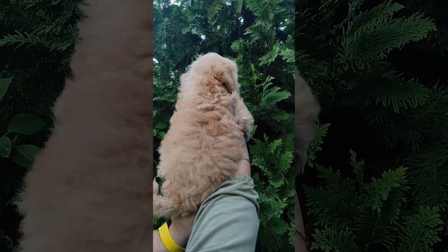 89160217913 Виктория Пишите, звоните, фото, видео, Телеграмм, Инстаграм, Ютуб скину 😊💞🌹 смотреть онлайн