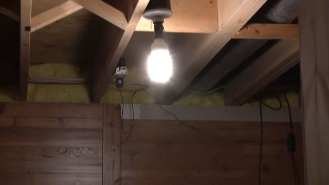 Review - Menards Flourecent Bulbs for Film Production. смотреть онлайн