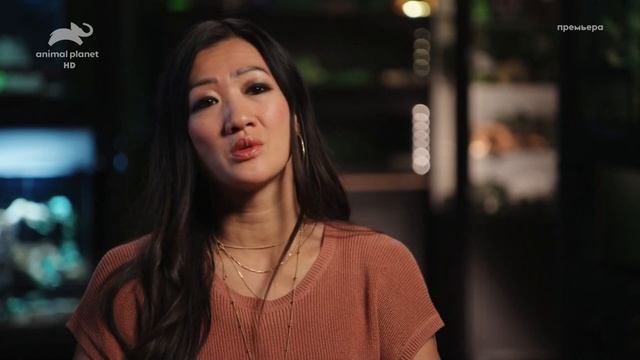 Дом для рептилий. Террариум в балийском стиле / Scaled смотреть онлайн