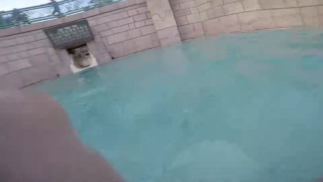 Aquaventure Dubai waterpark The Leap of Faith slide смотреть онлайн