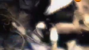 КТО ТАКИЕ АТЛАНТЫ! ТАЙНА АТЛАНТИДЫ РАСКРЫТА!!!!