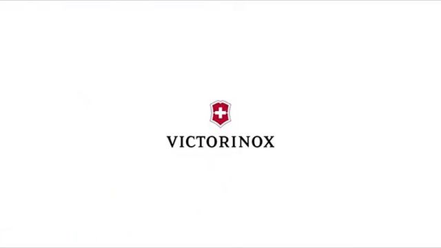 Наручные часы Victorinox 241800 из коллекции "I.N.O.X. Carbon Limited Edition" смотреть онлайн