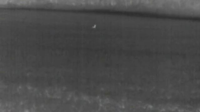 Coyote out to 300 yards with Pulsar Quantum HD38A PLEASE ENABLE CC FOR TEXT NARRATION смотреть онлайн