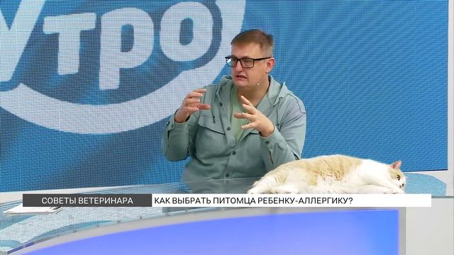 Советы для владельцев кошек и собак