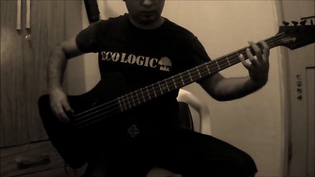 run to the hills - iron maiden bass cover смотреть онлайн