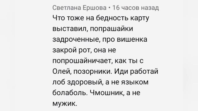 МОРАЛЬНЫЙ ОБЛИК ВИШНЕБРОДОК! смотреть онлайн