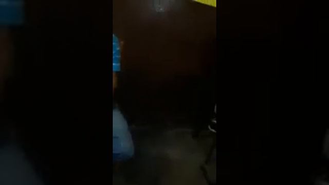 IVAN a GIPSY TOMAS HALGAT LIVE 2020 смотреть онлайн