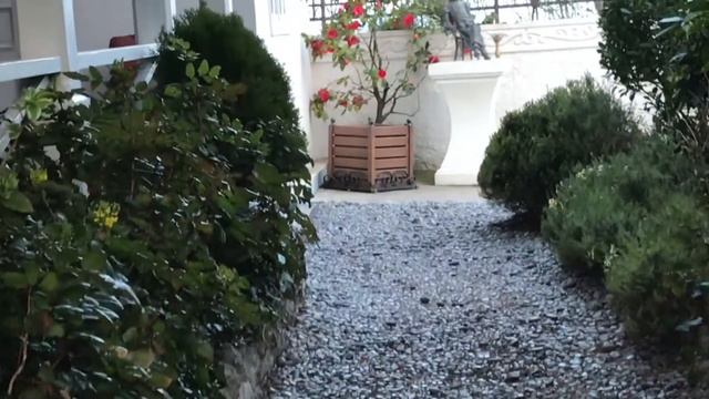 С уважением А.П. Чехову смотреть онлайн