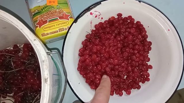 Кисель из калины или любого варенья смотреть онлайн