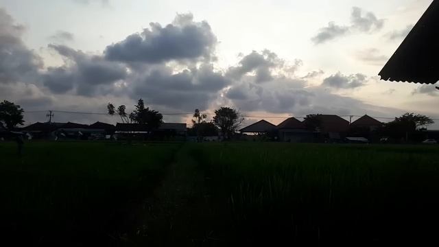 Kompilasi Monkey Boots смотреть онлайн