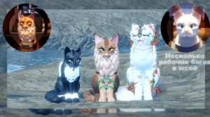 wcue_Несколько рабочих багов