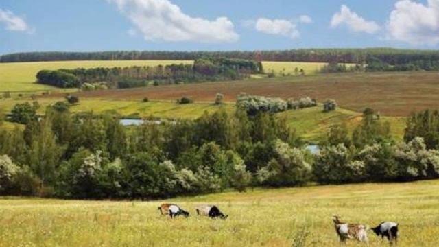 природные зоны Евразии смотреть онлайн