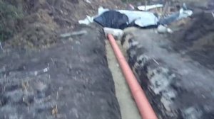 Современное навозоудаление в свинарнике. Самосплавная система навозоудаления.