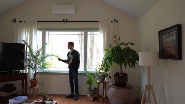 Tour of my HOUSEPLANT Home смотреть онлайн