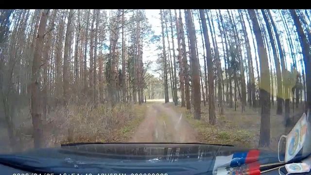 Путешествия по лесам вблизи Смоленска и по улицам города.