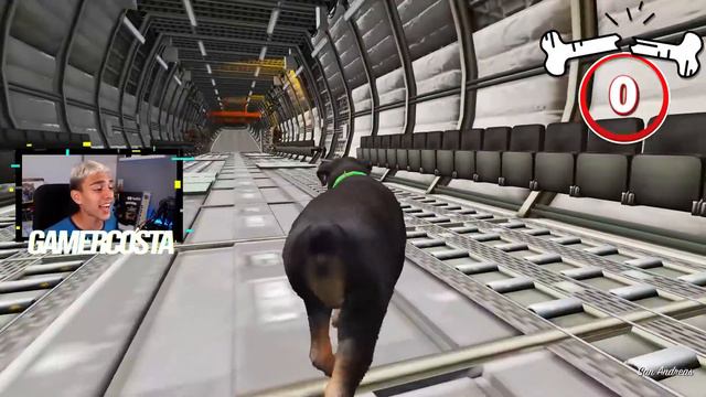 CONSIGO QUEBRAR TODOS OS OSSOS DO CHOP no GTA 5?! смотреть онлайн