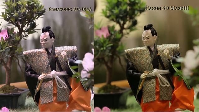 Panasonic AF-104A vs Canon 5D MarkIII_5 смотреть онлайн