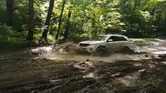 Лесной брод на соренто смотреть онлайн