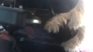 Минитрактор МТЗ 132Н небольшие доработки