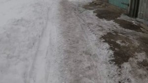 Самый быстрый мотоблок уже на спаренных колесах с цепями.