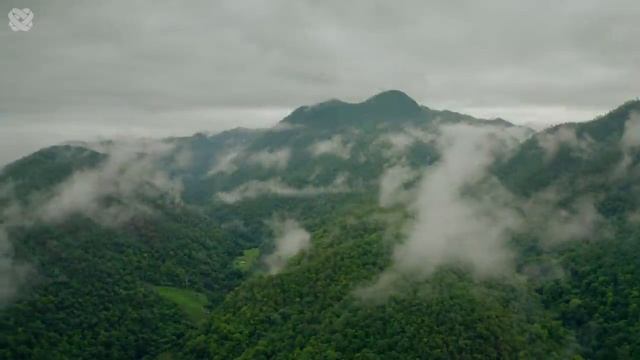 4K Thailand Summer Mix 2021 ? Best Of Tropical Deep House Music Chill Out Mix By Deep Mix.mp4 смотреть онлайн