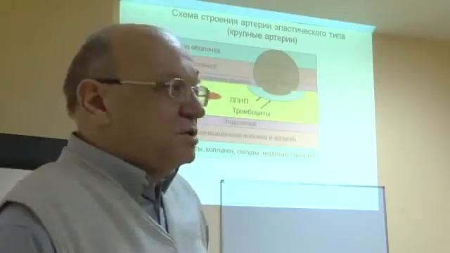 Одно из мнений о вегетарианстве (проф. Силуянов) смотреть онлайн