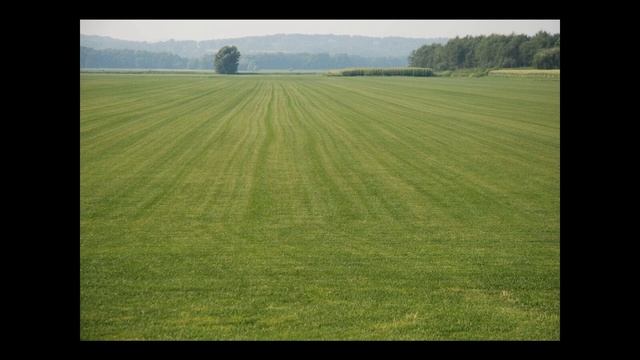 Секреты Профессионального Творца