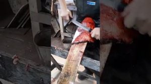 Мездрение шкуры бобра легко.  #нож #нождляохоты #ножПШ #отличныйнож #зверолов #охотанабобра