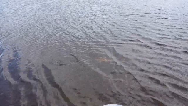 Путешествие на Кулумань! 2 катера и 2 дня! Рыбалка на окуня. смотреть онлайн