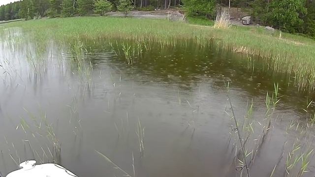 Свимбейтик LiveFish Karas - ловля накоротке. смотреть онлайн