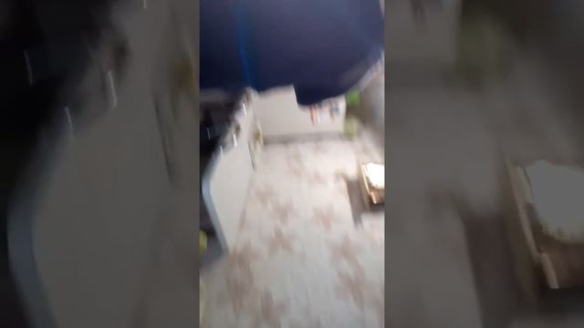 ПЕРЕВОЗКА ПИАНИНО РОЯЛЬ БЕЛАЯ ЦЕРКОВЬ УСЛУГИ ГРУЗЧИКОВ БЕЛАЯ ЦЕРКОВЬ смотреть онлайн