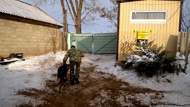 НКД НЕО 11мес Мажор игра без слов Никита послушание смотреть онлайн