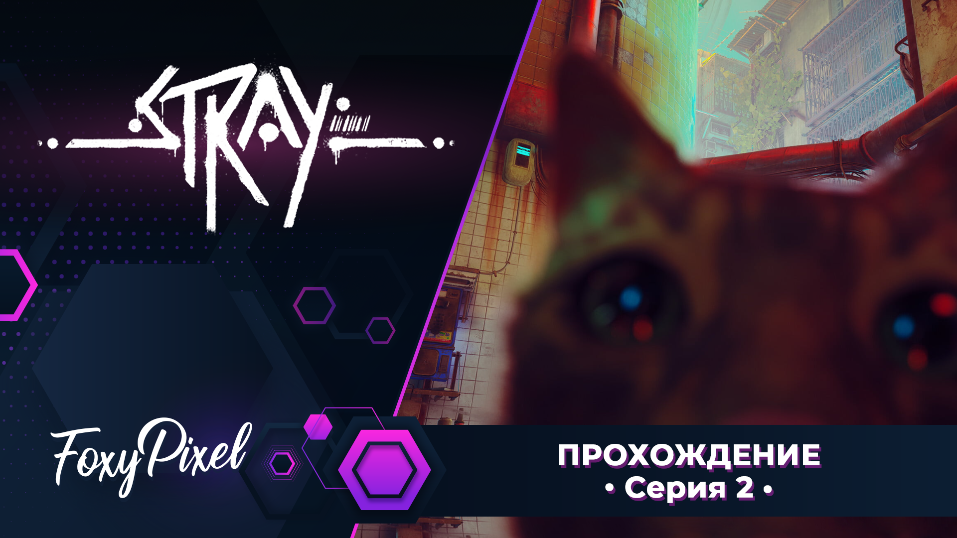 Stray #2 Секретная лаборатория Аутсайдера