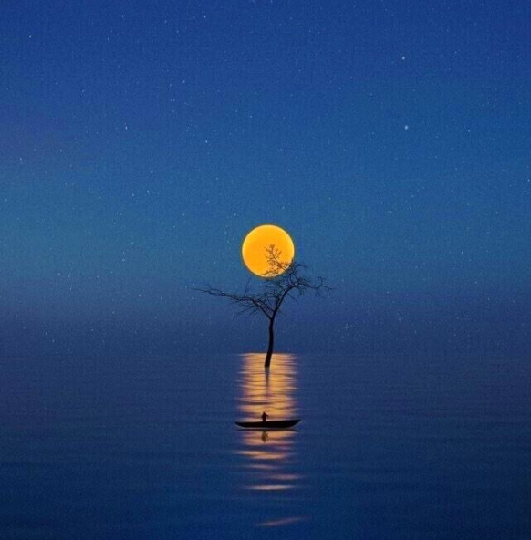 Всё было интересно и полезно. Как начиналось ТВ, кратко. смотреть онлайн