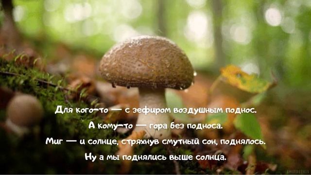 Так красиво — как будто у Бога в гостях смотреть онлайн