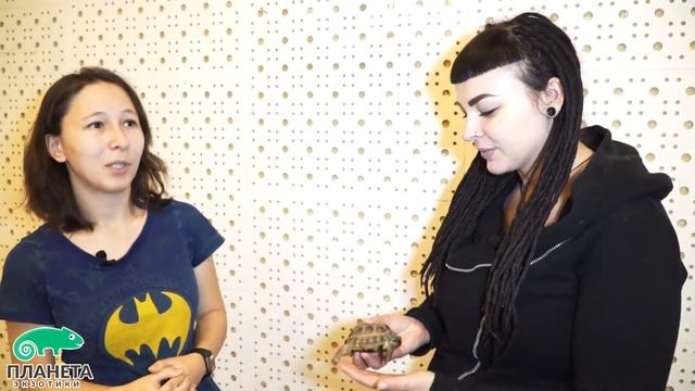 Сколько лет живут среднеазиатские черепахи? смотреть онлайн