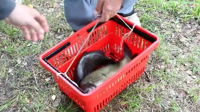 В День рыбака в Луховицах состоялись соревнования по рыбной ловле смотреть онлайн