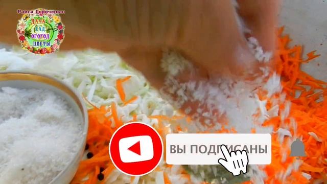 3 дня - и квашеная капуста с яблоками ГОТОВА! Простой рецепт. Готовим с любовью капусту в ведре. смотреть онлайн