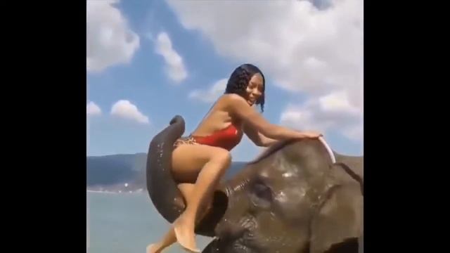 ШОКИРУЮЩЕЕ ВИДЕО СО ВСЕГО ИНТЕРНЕТА! смотреть онлайн