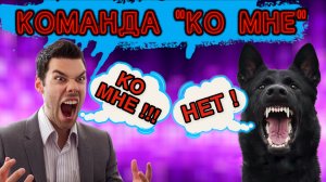 Команда «Ко мне». Как правильно.