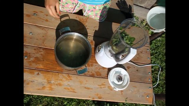 Зеленый коктейль из дикоросов смотреть онлайн