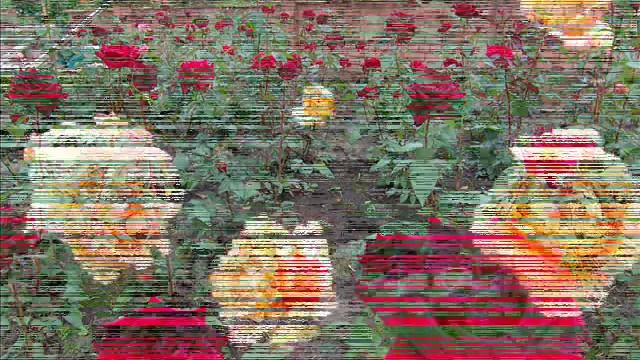 Устройство розария смотреть онлайн