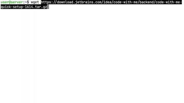 Code With Me Enterprise: Quick Setup смотреть онлайн